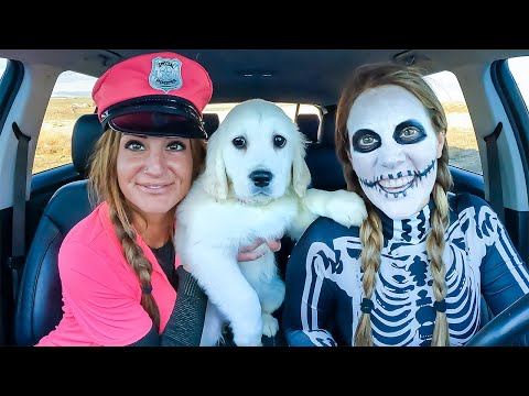 Skeleton Pranks Police and Golden Retriever Puppy - Puppy’s First Bath!