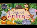 Animal Classification and Characteristics