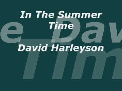 David Harleyson- In The Summer time