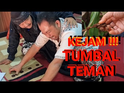 TUMBAL TEMAN ?! PUSAKA ULAR DITEMUKAN, KIRIMAN TANAH KUBURAN