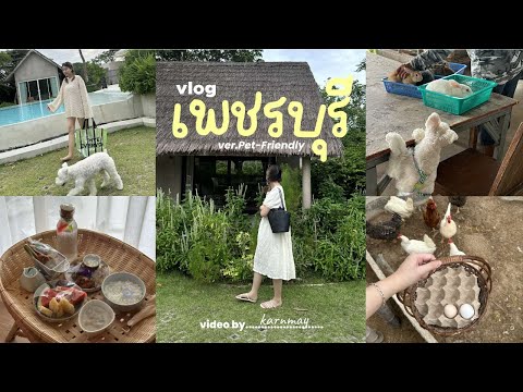 เพชรบุรีvlogพักฟาร์มสเตย์สุดมินิมอล2วัน1คืนเก็บไข่,ให้อาหารเ