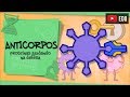 Understanding Antibodies and Antigens