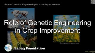 Role of Genetic Engineering in Crop Improvement