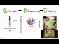 Genetic Disorders and Chromosomal Functions