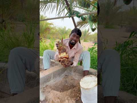 খেজুর গাছ রোপনের পদ্ধতি #youtubereels #everyone #date #palm #trees #work #foryou