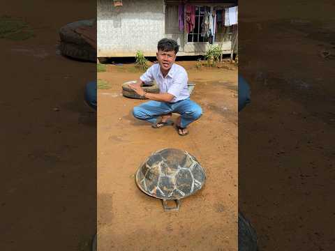 pamer main kartu gambar