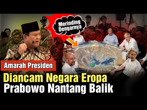 Ancam Pak Prabowo, Negara Eropa Malah Ciut Diancam Balik! Begini Kisahnya