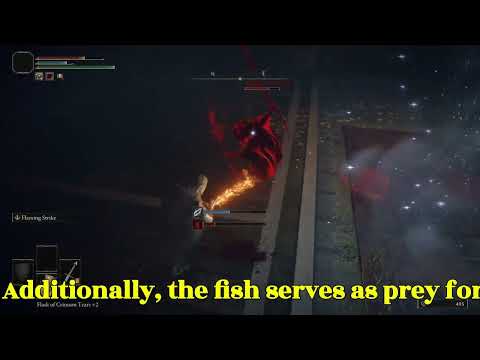 Brief Introduction to Snout Bullfish