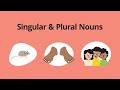 Exploring Singular and Plural Nouns in English