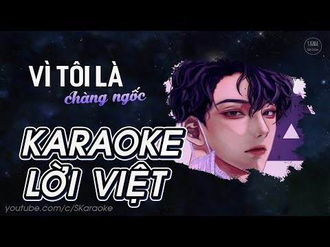 Vì Tôi Là Chàng Ngốc | Because I’m Stupid【KARAOKE Lời Việt】- SS501 | Vườn Sao Băng OST | S. Kara ♪