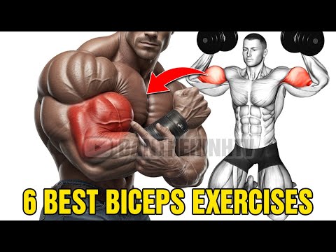 6 Proven Biceps Exercises For Bigger Arms