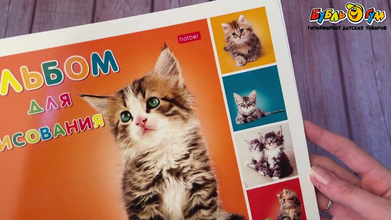 Альбом для рисования Фотосессия котята 24л в ассортименте - видео