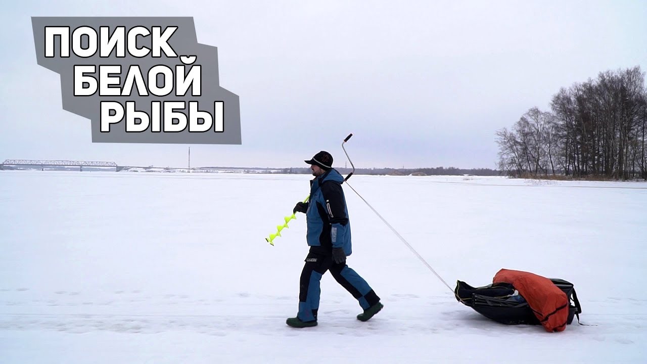 Поиск белой рыбы на Волге. Леонидыч на рыбалке