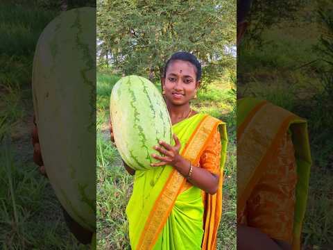 WATERMELON JUICE Orange Fresh Fruit Juice Making #shorts