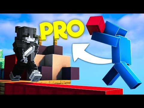I Played With The #1 Minecraft Bridger