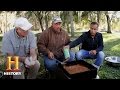 Creole Cooking with Catfish and Shrimp