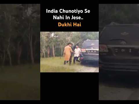 गलती ये करते है और बदनाम #tiger होता है #shorts #wildlife #animals #jimcorbett #wildsafari #trending