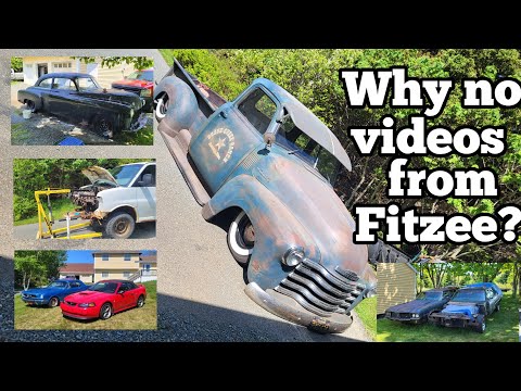 Why no videos from Fitzee?