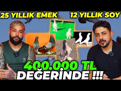 400.000 TL LİK GÜVERCİN KÜMESİ ! 12 YILLIK SOY