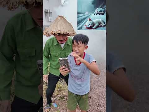 Cậu bé khóc và con mèo đáng thương #shorts
