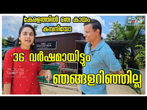 36 เดตเตผเดทเด เดเดตเดฟเดเต เดเดฃเตเดเดพเดฏเดฟเดเตเดเต/Kayam making /Asafoetida manufacturing /Sambar powder making /B G kayam