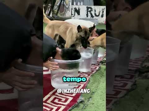 Eles Sabiam que Algo Estava Errado!☠️ (@INZHEJIANG)