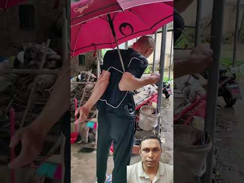 ছাতা ছাড়া যাদের চলেই না,#umbrella #shortsfeed #use #idea #technique  #amazing #rainday #shortstory