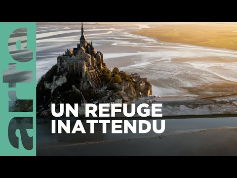 Mont-Saint-Michel. La baie des merveilles | Secrets sauvages du patrimoine | ARTE Family