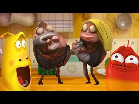 LARVA - BROWN'S NEW FAMILY | Cartoons | Comics | LARVA Official