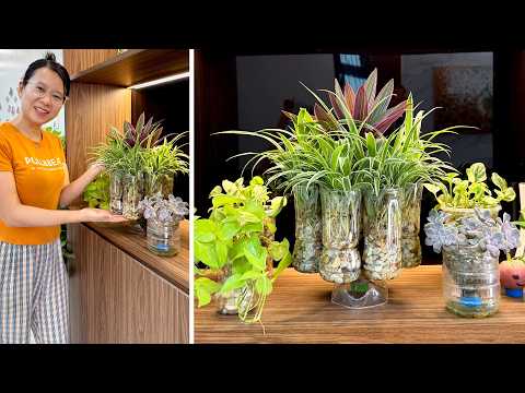 These Are the Best Aquarium Plants for Summer - Low Cost Indoor Planting Ideas
