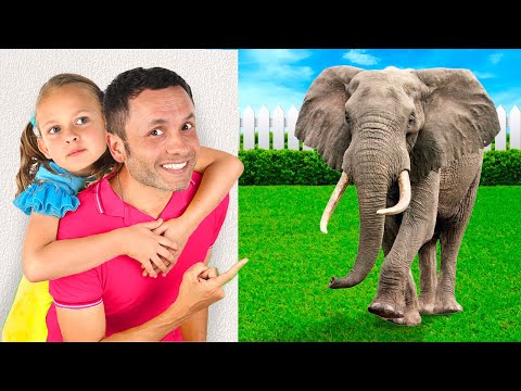 Прикольные картинки | Детская песня | Детские песни от Майи и Маши
