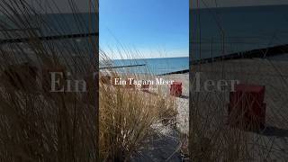 Ein Tag am Meer in Ahrenshoop