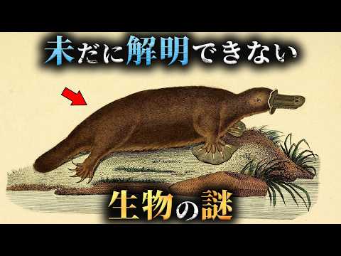 【未解明】最新研究ですら解明されてない生物の謎6選がヤバすぎる...。Part11【 生物学 ミステリー 動物 】