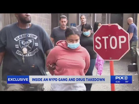 Exclusive: At least 16 arrested in NYPD gang and drug takedown