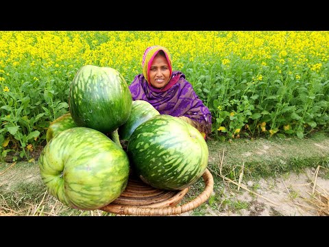 কম খরচে সেরা স্বাদে মাছ মাংস ছাড়া বেগুন ভাজি ভুনা Begun Vuna NEW Brinjal Bhuna Recipe Eggplant Curry