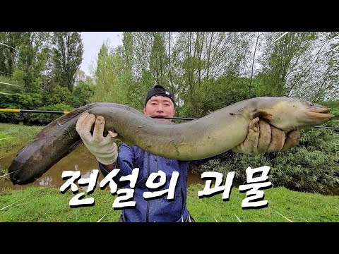민물장어 18년간의 추격 끝에 드디어 괴물을 잡았다!! monster eel
