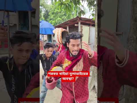 দুলা ভাইয়ের বারটা বেজে গেছে #shorts #shortsviral #shortvideo #funnyshorts #funnyvideo #viralvideos