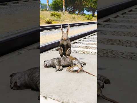 Dogs teach us love in its purest form | Part 872🥺|