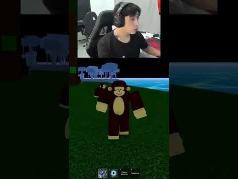 ME HAGO PASAR POR NPC BLOX FRUITS