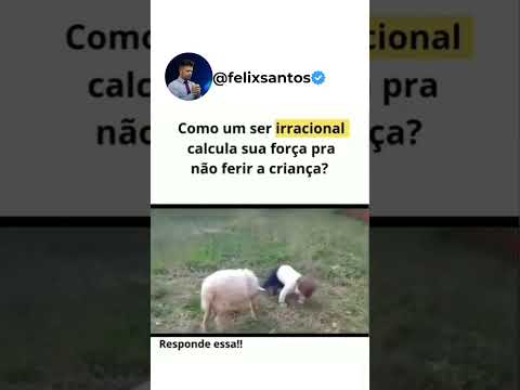 O cordeiro e uma criança, Veja como Jesus e lindo por esse vídeo🙌