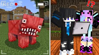 Escape from Scary BIG PIG on The Cameras in Minecraft..!