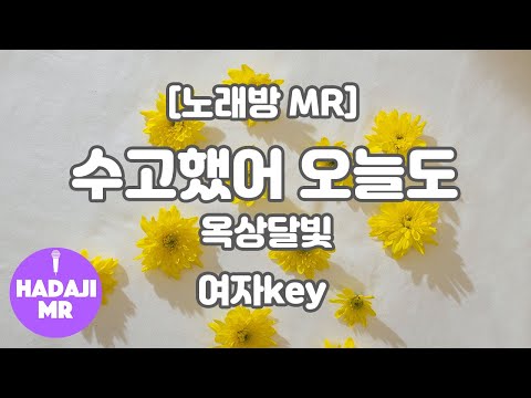 [하다지노래방] 옥상달빛 – 수고했어 오늘도 MR (A-C 여자key) / 하다지MR