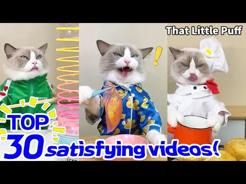 😊TOP 30 satisfying videos! | That Little Puff