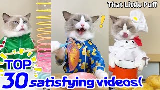 😊TOP 30 satisfying videos! | That Little Puff