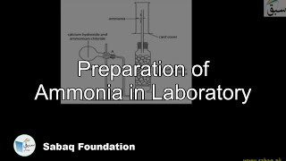 Preparation of Ammonia in Laboratory