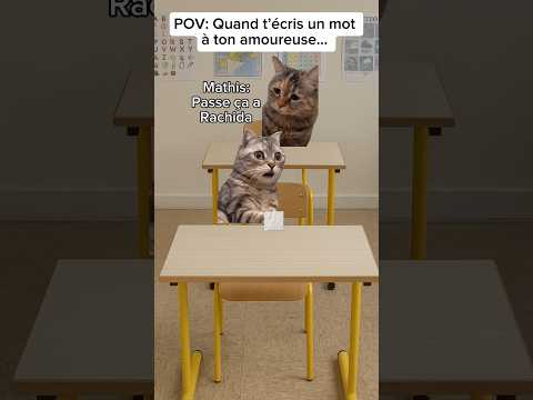 POV: Quand t’écris un mot à ton amoureuse #humour #pov #catmemes #drole #sketch