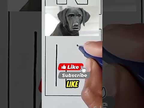 How to draw letter N #funny #memes #USA