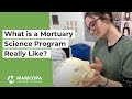 Mortuary Science Program Insights