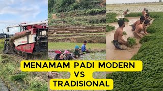 Menanam Padi Modern VS Tradisional