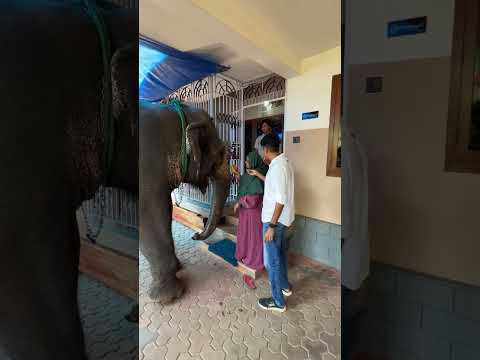 ഇത്തയും ആനയും